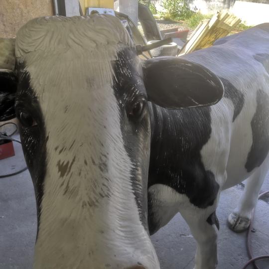 Peinture vache avant